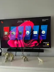 David P. verified subscriber photo